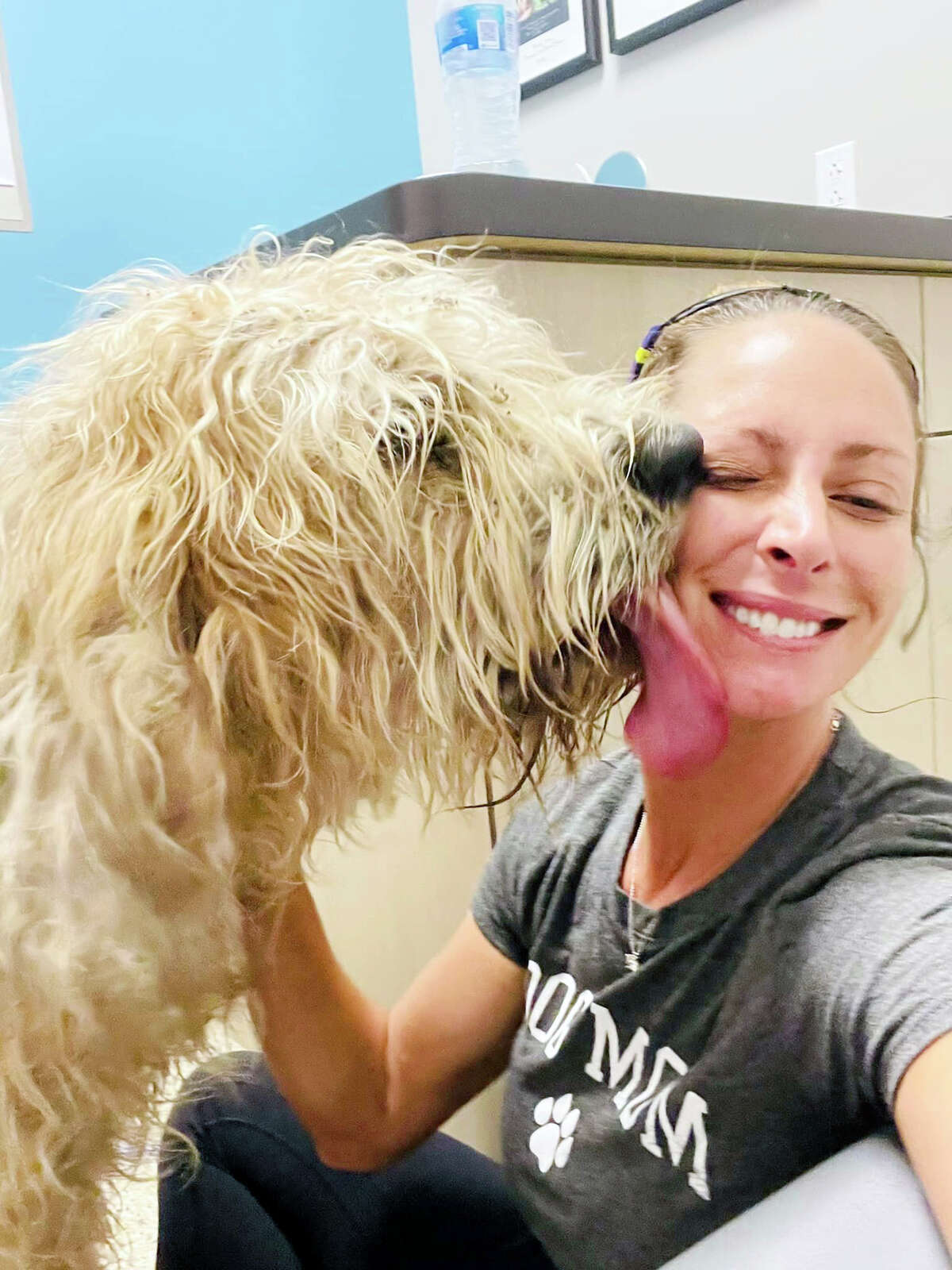 Tito the Otterhound welcomes Samantha Benack Miller to the Veterinary Clinic where the dog has been recovering from her weeks on the loose in Greater St.