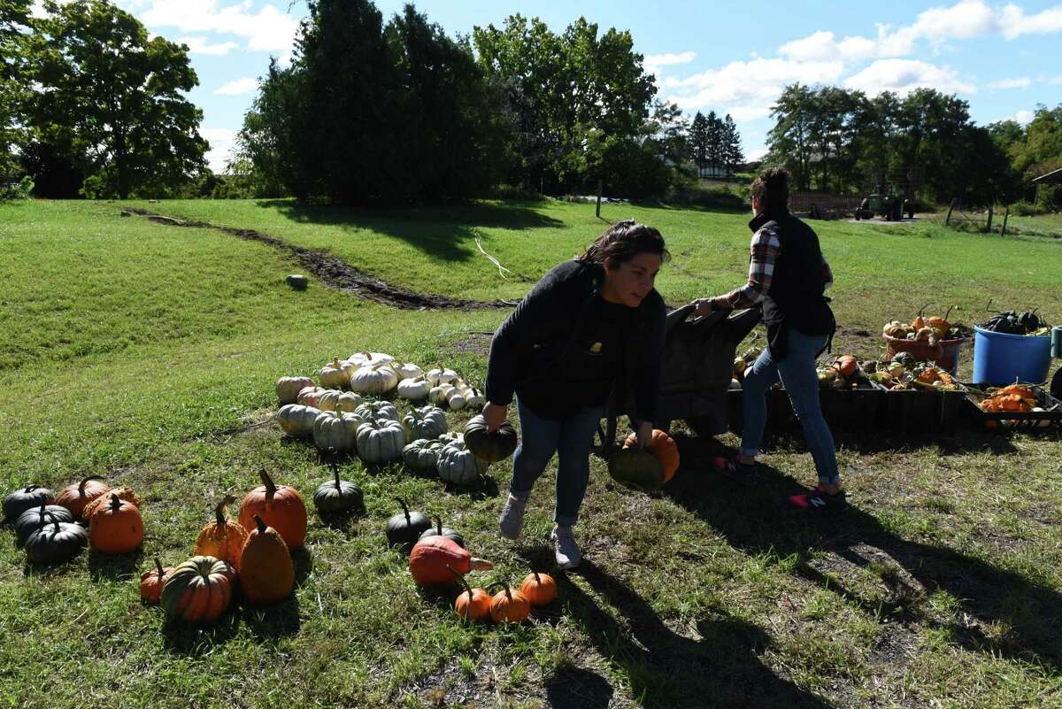 Sally Hanehan, left, and sister-in-law Megan Borlang, right, sort pumpkins at the Hanehan Family Farmstand on Friday, Sept. 23, 2022, on Route 67 in Saratoga, N.Y.