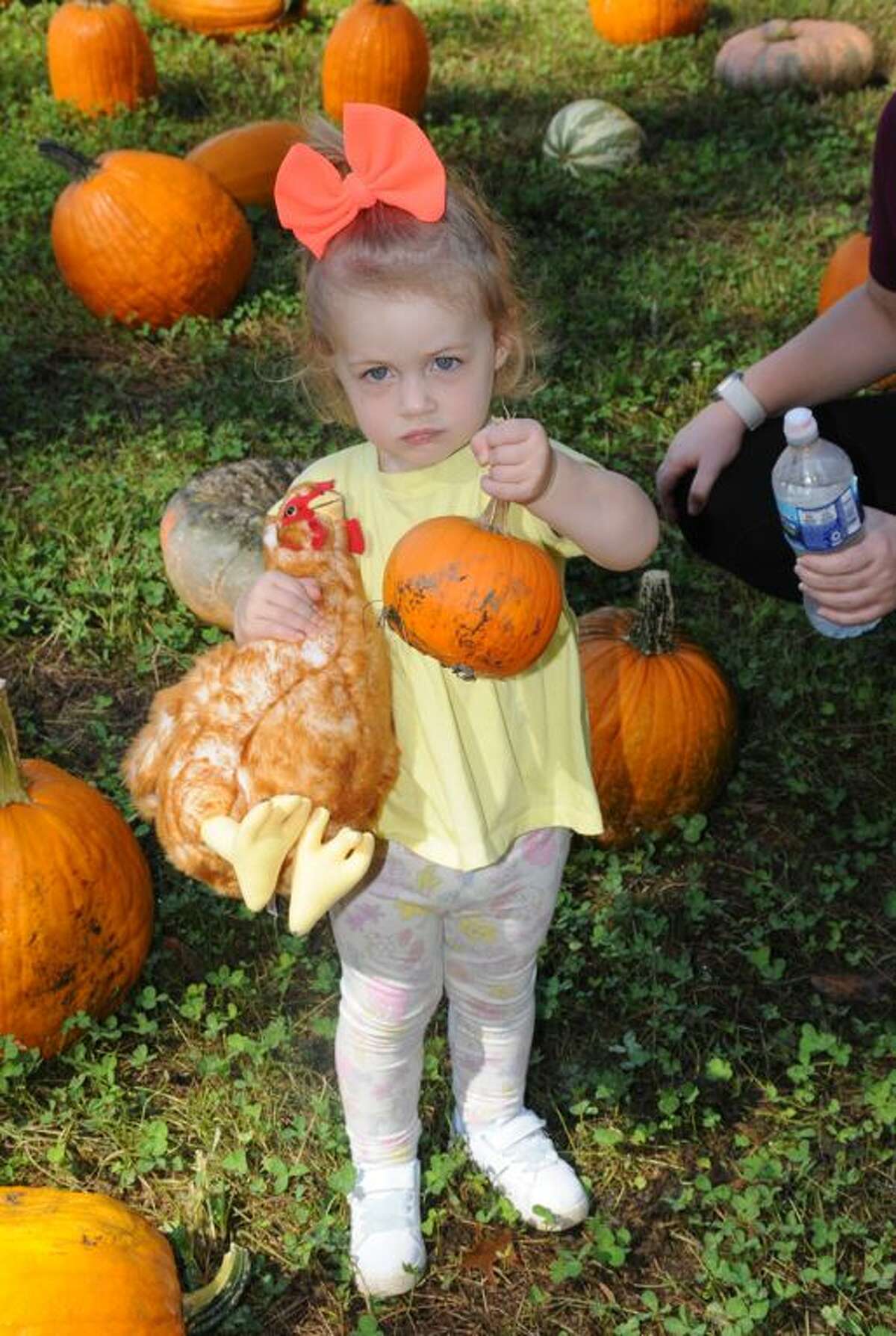 Wilhelmina Devries of Edwardsville found her ideal pumpkin during the Boonie's Farm Fall Festival on Saturday. 