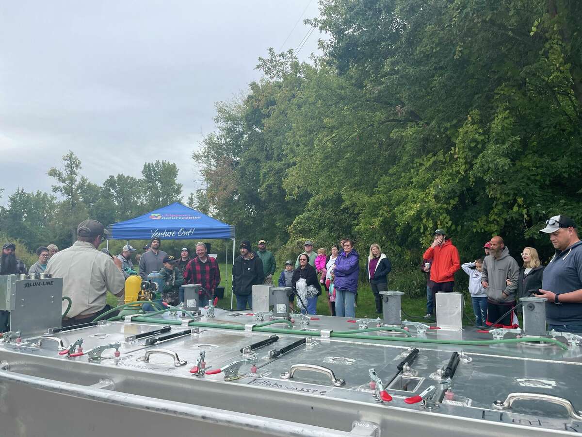 Sturgeon release into Titttabawassee River in effort to support