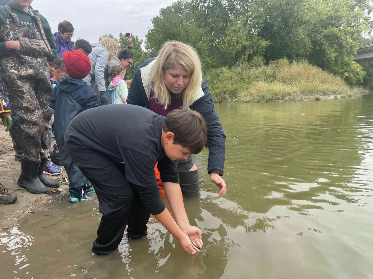 Lake Sturgeon to be released into Saginaw Bay Watershed on Aug. 19