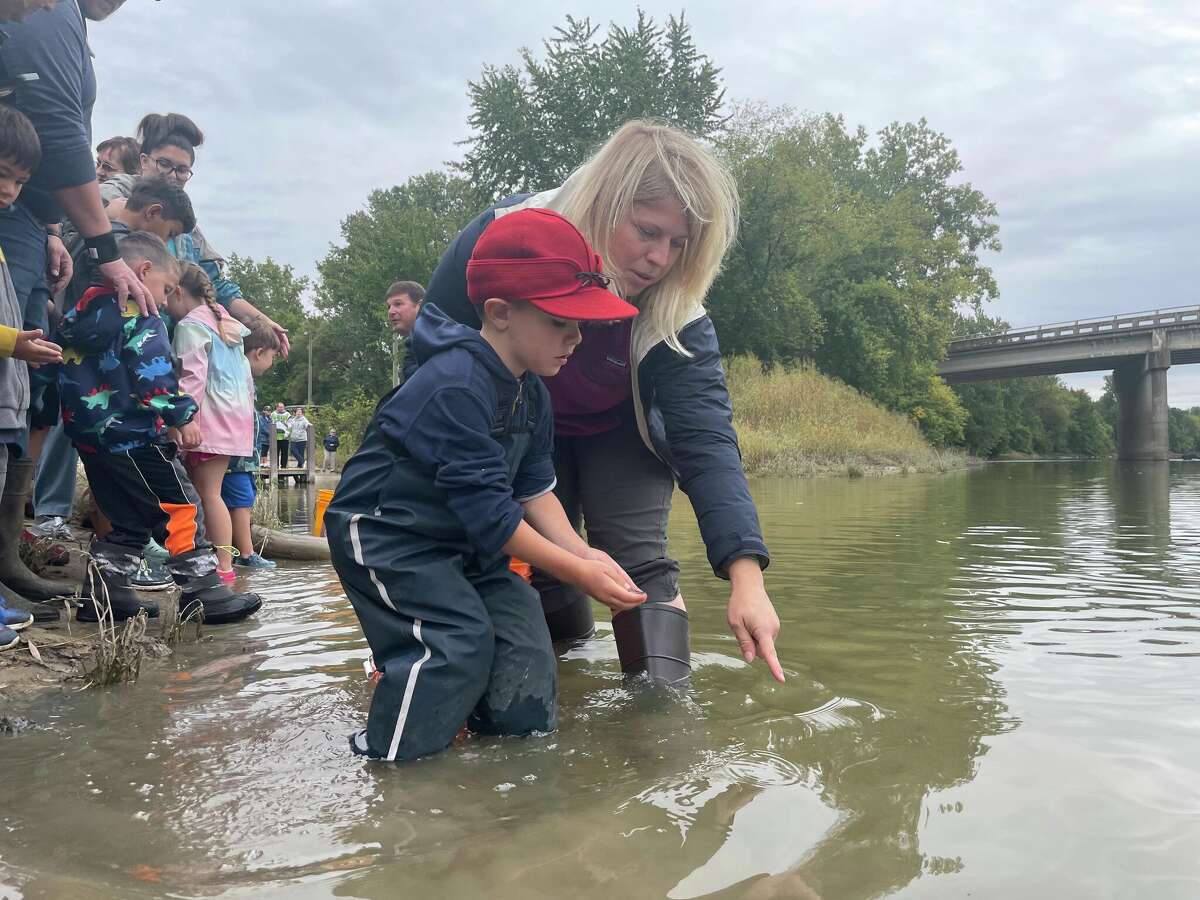 Sturgeon release into Titttabawassee River in effort to support