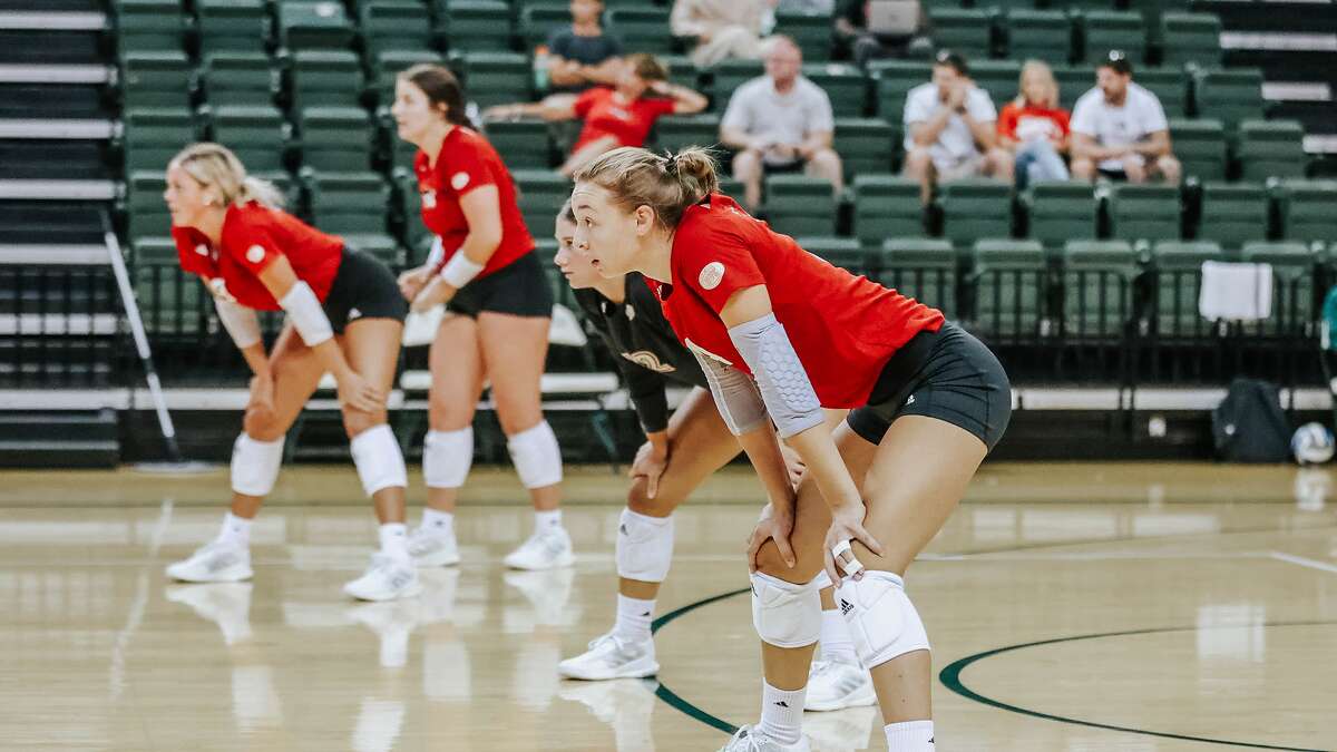 SIUE's Julia Treichel awaits the serve from Eastern Illinois. Treichel led the Cougars with 17 kills in the five-set win over the Ohio Valley Conference opponent. 