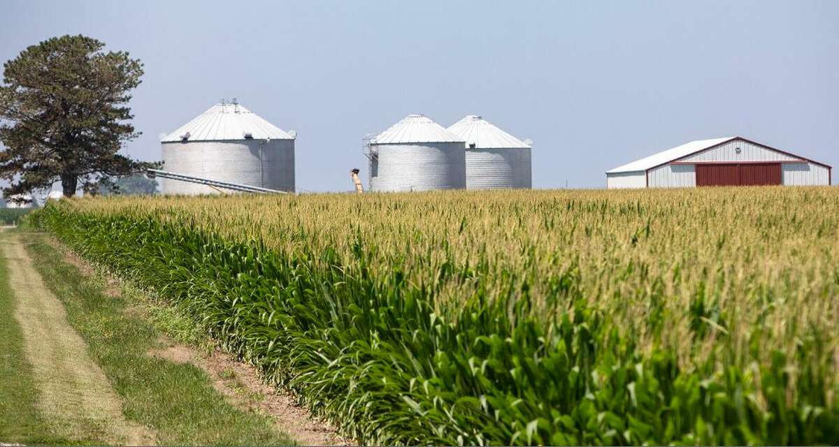 According to a survey by the Illinois Society of Professional Farm Managers, Illinois farmland values are up 18% over the past year.