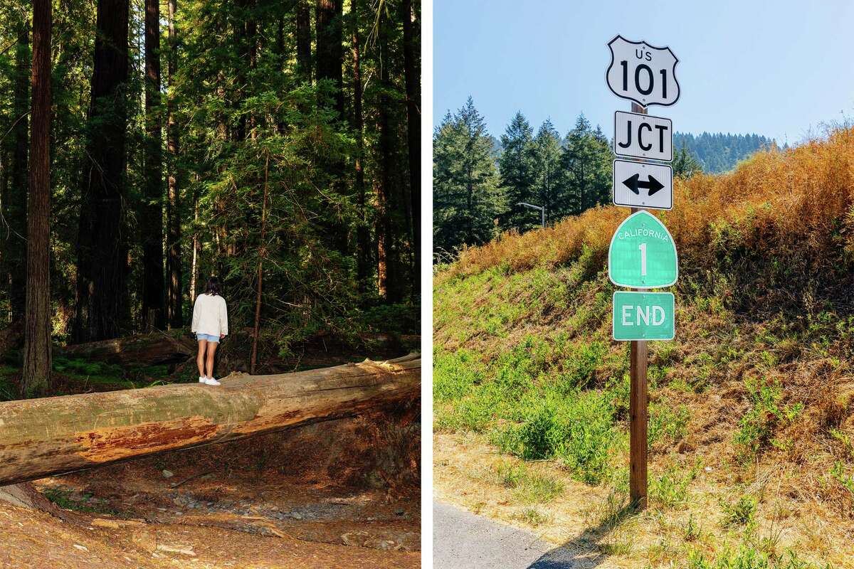 Left: Avenue of the Giants Scenic Alternate Route in Humboldt, Calif. along California’s Coastal Route 1 on Sept. 5. Right: Where the 1 meets the 101, in Leggett, Calif. along California’s Coastal Route 1