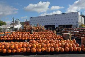Stew Leonard's indoor garden center in Norwalk to finish soon