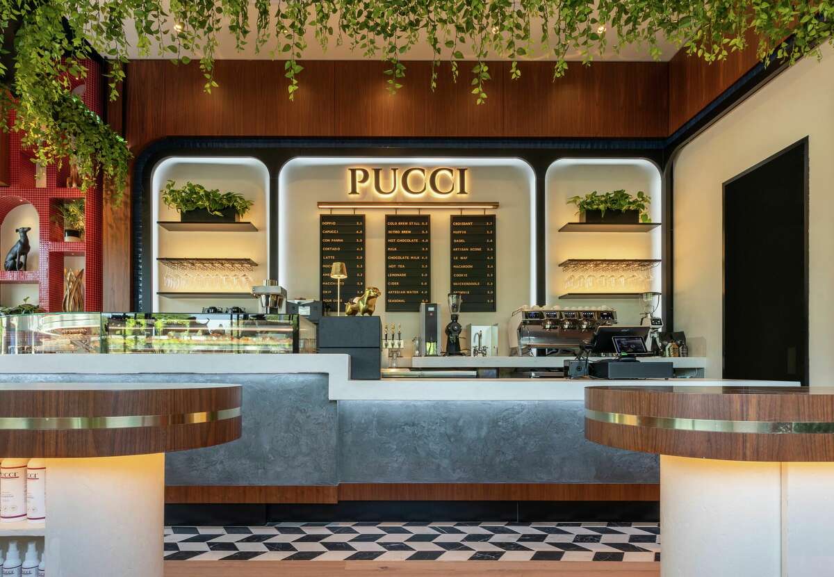 Pucci Cafe, luxurious canine restaurant and boutique opens in Katy