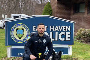 Police dog finds child with autism who ran away in CT