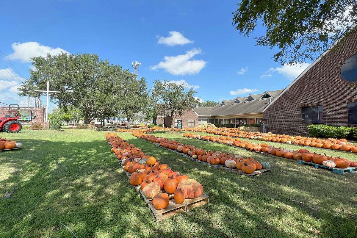 The St. Andrew's Pumpkin Patch in Pearland is marking its 24th year.