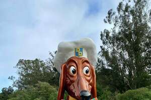 Here’s why giant Doggie Diner heads are popping up along JFK Drive in Golden Gate Park