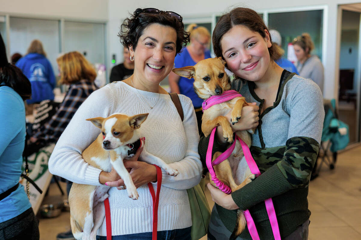 Were you Seen at the Lia Toyota of Colonie Pet Adoption Clinic on Sept. 24, 2022, at Lia Toyota in Schenectady, N.Y.?