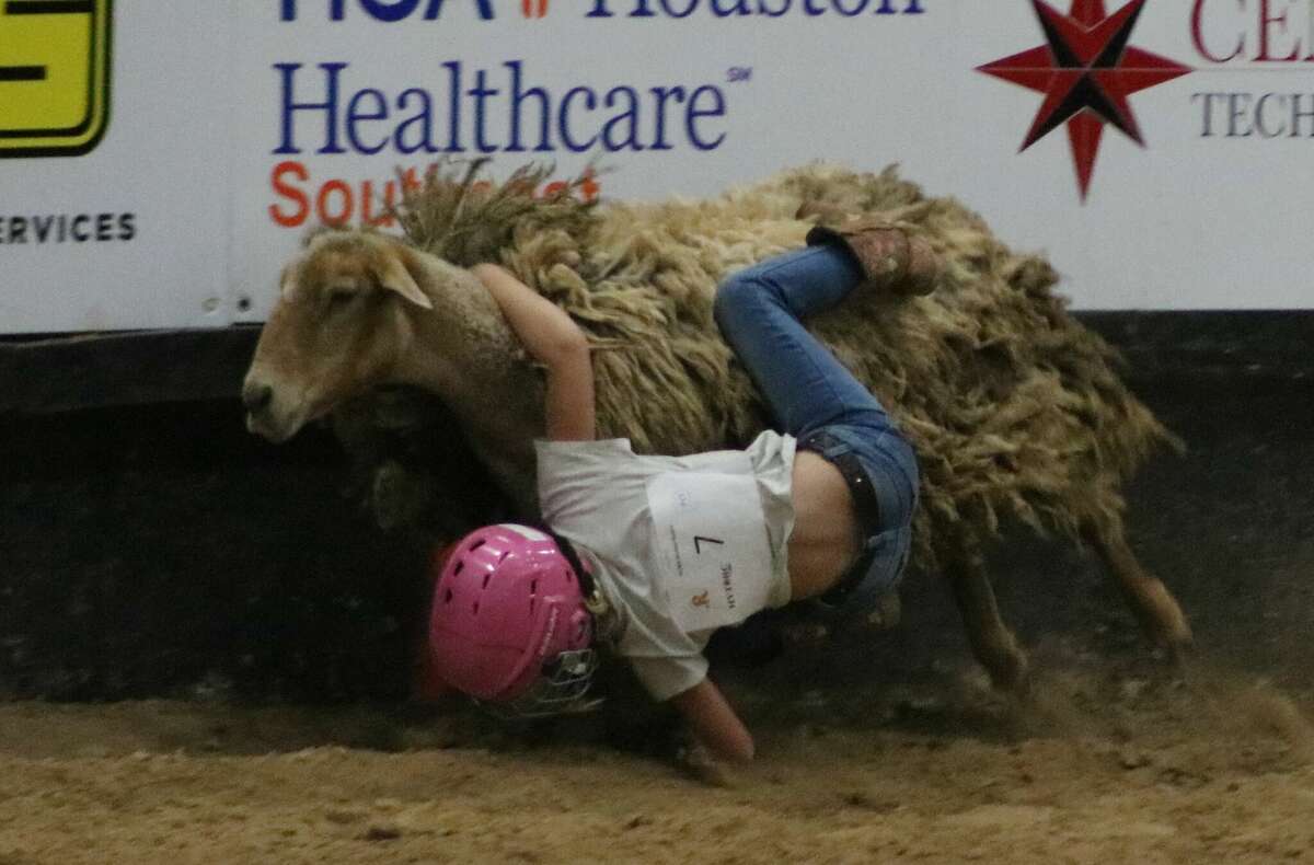 A mutton bustin' rider begins to fall off her animal during Monday night action at the Ross Kelley Arena.