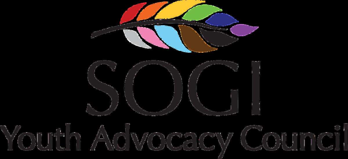 The Sexual Orientation and Gender Identity Youth Advocacy Council is a group of local leaders and advocates who want to use their cross-system influence to build a safer and more affirming community for youth in the Great Lakes Bay Region.