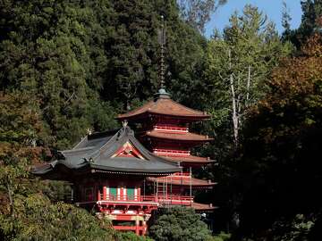 San Francisco’s Japanese Tea Garden pagoda unveiled after its first