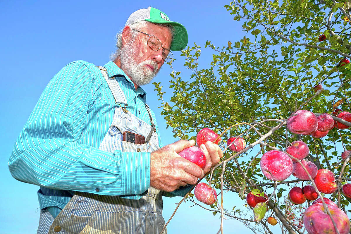 Modern Farmer More consumers buying organic, but farmers still wary