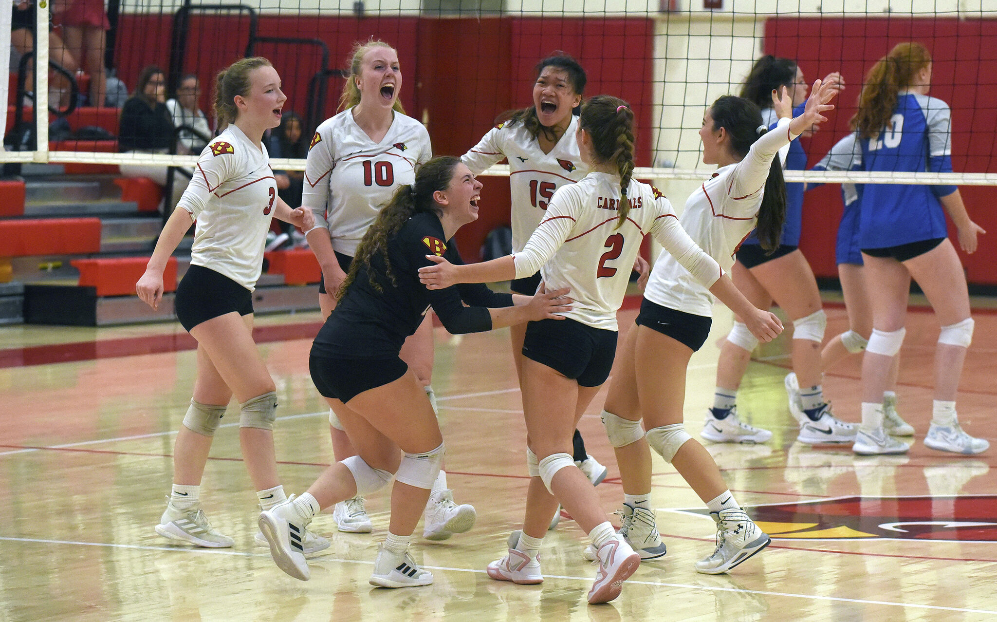 Greenwich volleyball beat Ludlowe in CIAC Class LL final rematch