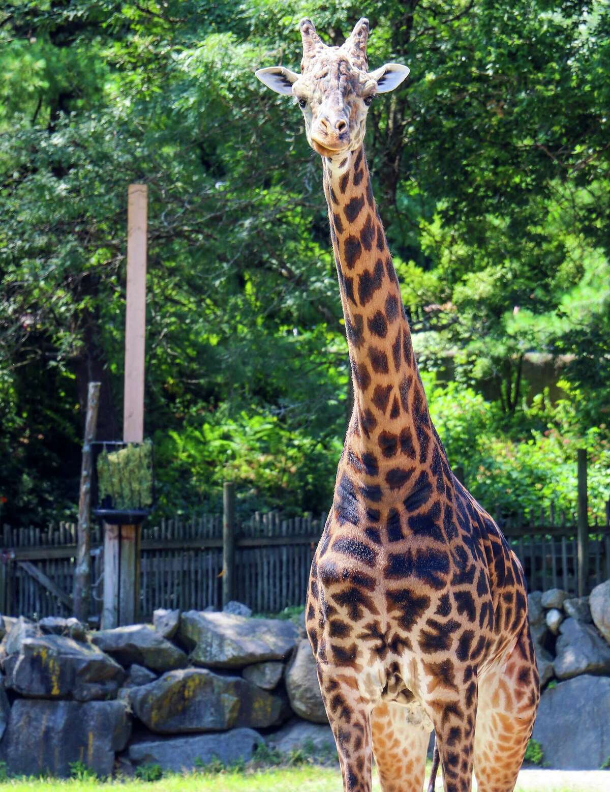 Roger Williams Park Zoo, Providence, R.I.