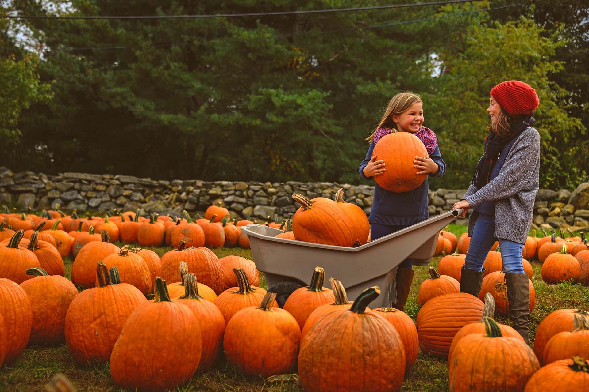 I Found These Perfect-for-Fall Pasta Bowls Buried in 's