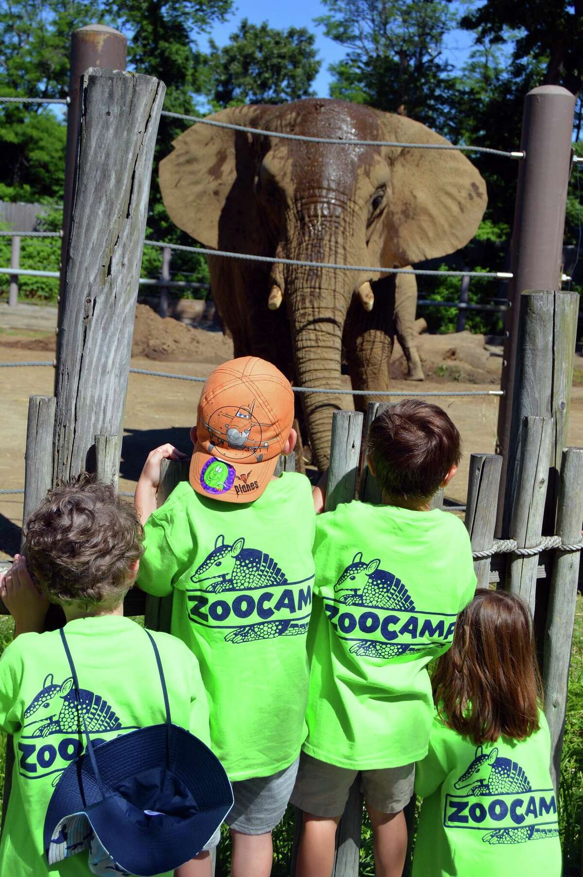 Roger Williams Park Zoo in Providence, R.I.