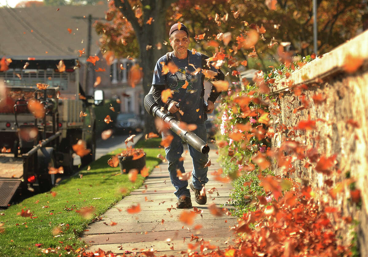 A landscaper uses a leaf blower to remove leaves from the sidewalk.