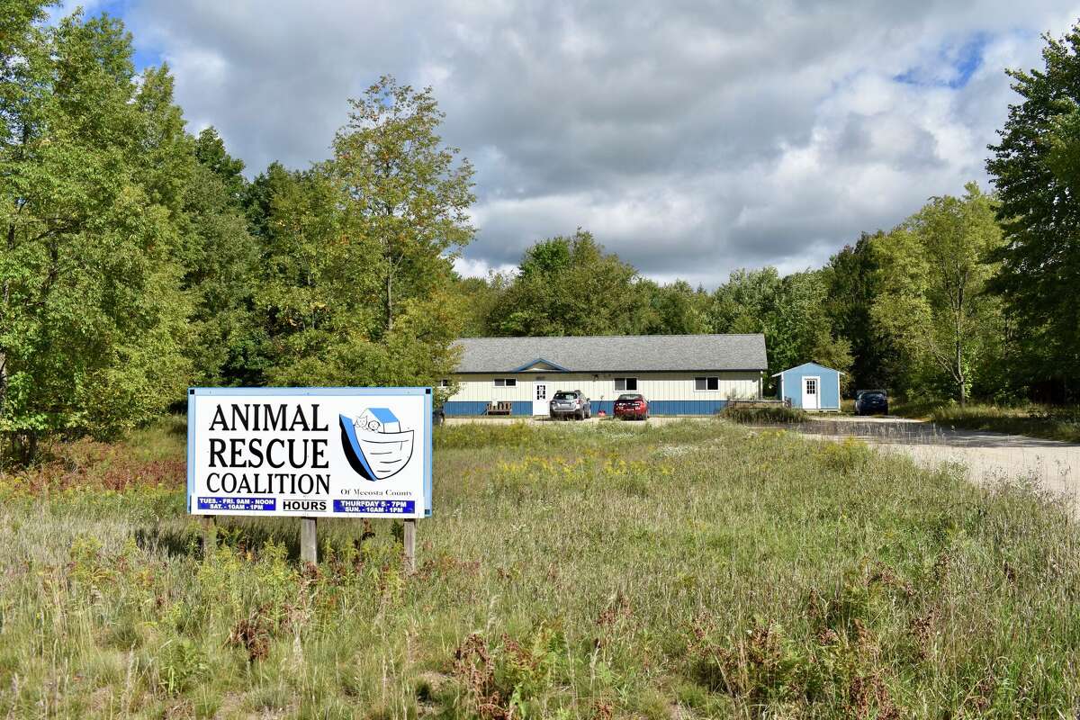 Get a peak inside the Mecosta County Animal Rescue Coalition
