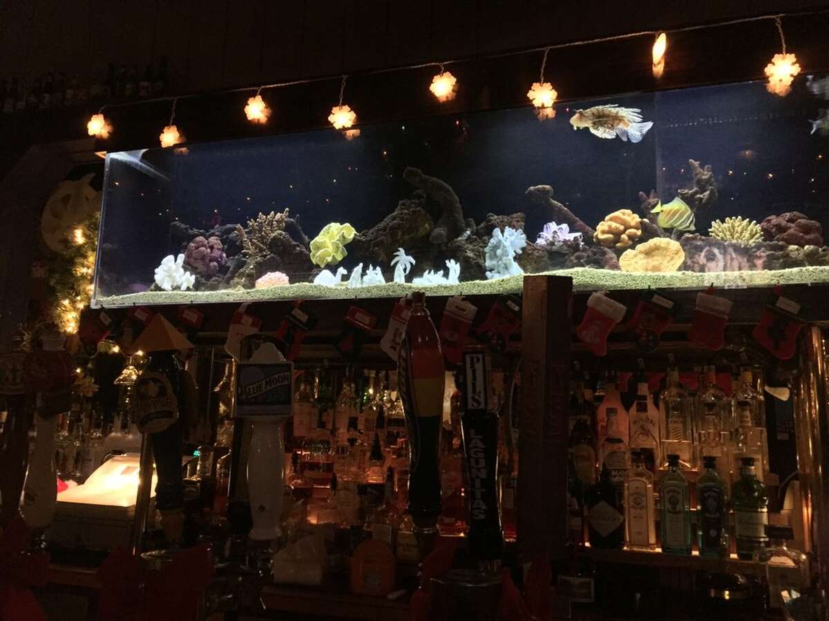 Moby Dick is a humble bar with a giant aquarium located in San Francisco's Castro district.
