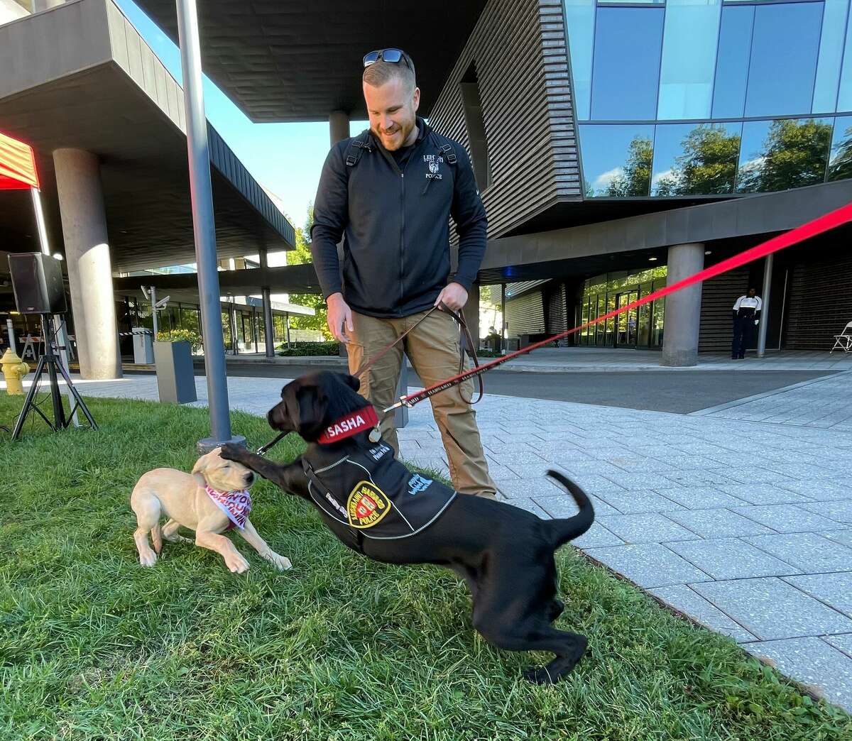 Lehigh University Det. Lieut. David Kokinda watches dog Grace meet a facility dog from Harvard University. 