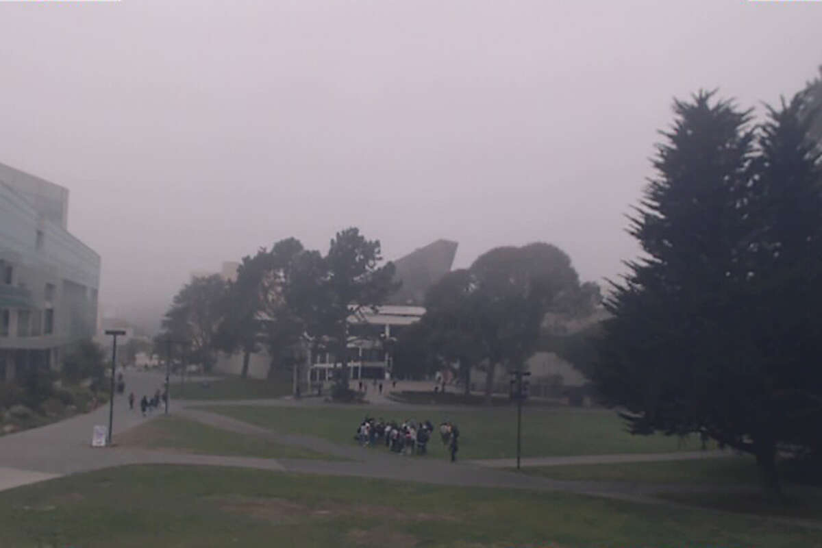 A view at the SF State quad via Fogcam.