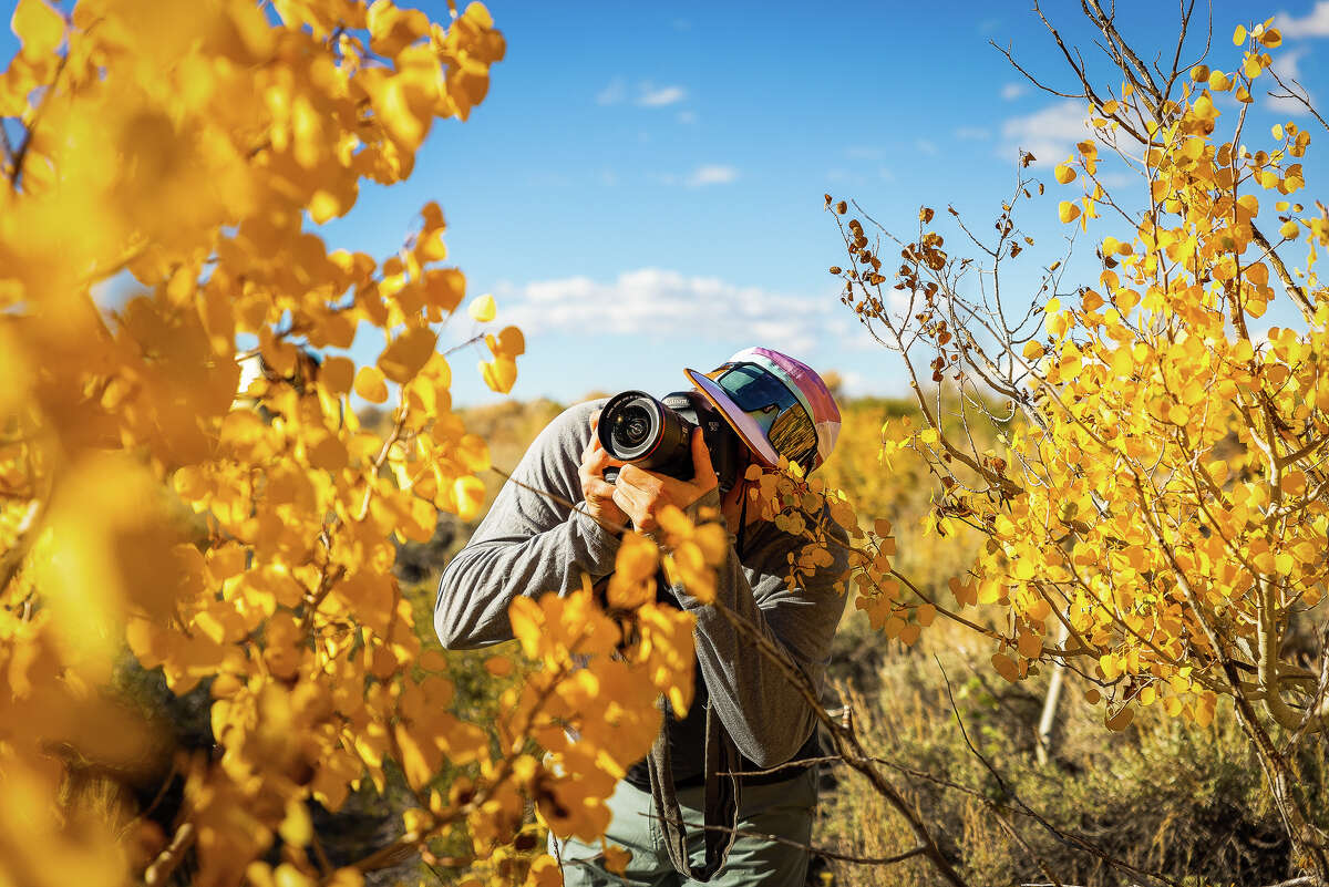 A photographer takes photos of the fall colors at Sagehen Summit in Mono County on Sept. 27, 2022.