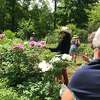 On May 24 several members of the Garden Club of Woodbridge made a field trip to Peony Heaven at Cricket Hill Garden in Thomaston, CT. Cricket Hill Garden is a family-run, 7-acre landscape specializing in tree and herbaceous peonies.