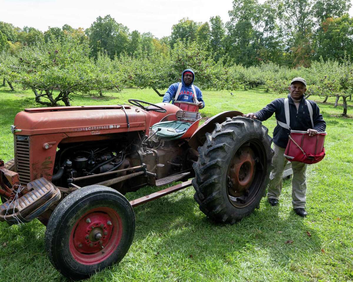 From Jamaica to Schoharie H2A workers help maintain local apple farms