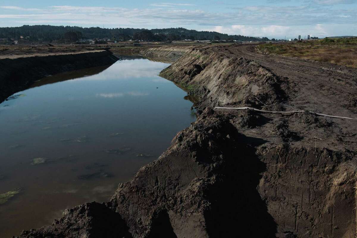 View of the Elk River restoration project in Eureka, Calif. on Sep 19, 2022. This section of the project is converting pastureland into a salt marsh and intertidal channel network that will connect to the Elk River, reclaiming historic floodplain and providing capacity for king tides and resilience to sea level rise. In the background, the Humboldt Bay Generating Station is visible. The sea level is expected to rise 3 feet by 2060 in Humboldt Bay, the fastest rate on the West Coast. Worsened by tectonic activity, sea level rise threatens residences, stored waste from a decommissioned nuclear plant, wastewater treatment plants, and part of Highway 101 that connects Eureka and Arcata.