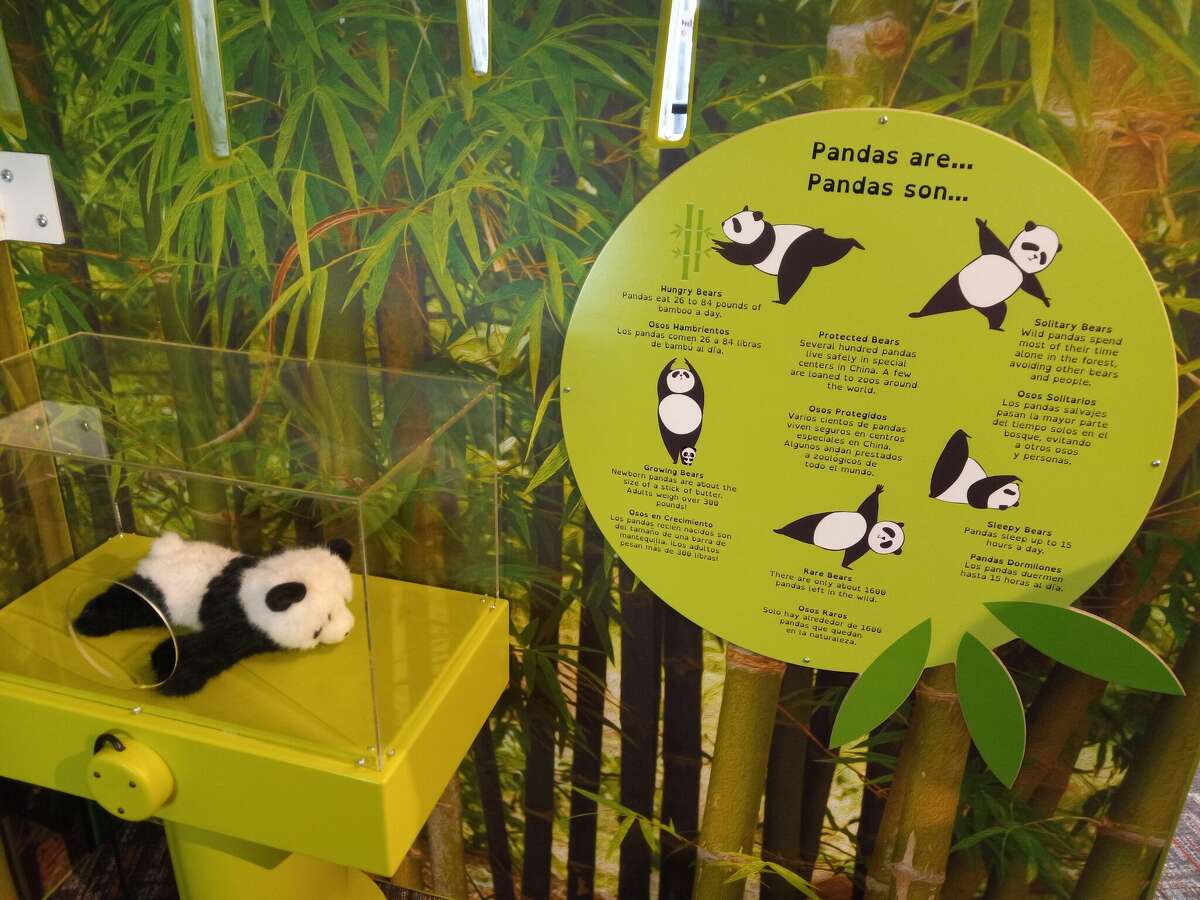 The museum, located on Main Street across from the Warner Theatre, was recently chosen to host a Freeman Foundation Asian Culture Exhibit prototype, providing learning opportunities about South Korea, China and Japan. The new exhibits highlight different cultural elements from each country. Pictured is China's panda exhibit. 