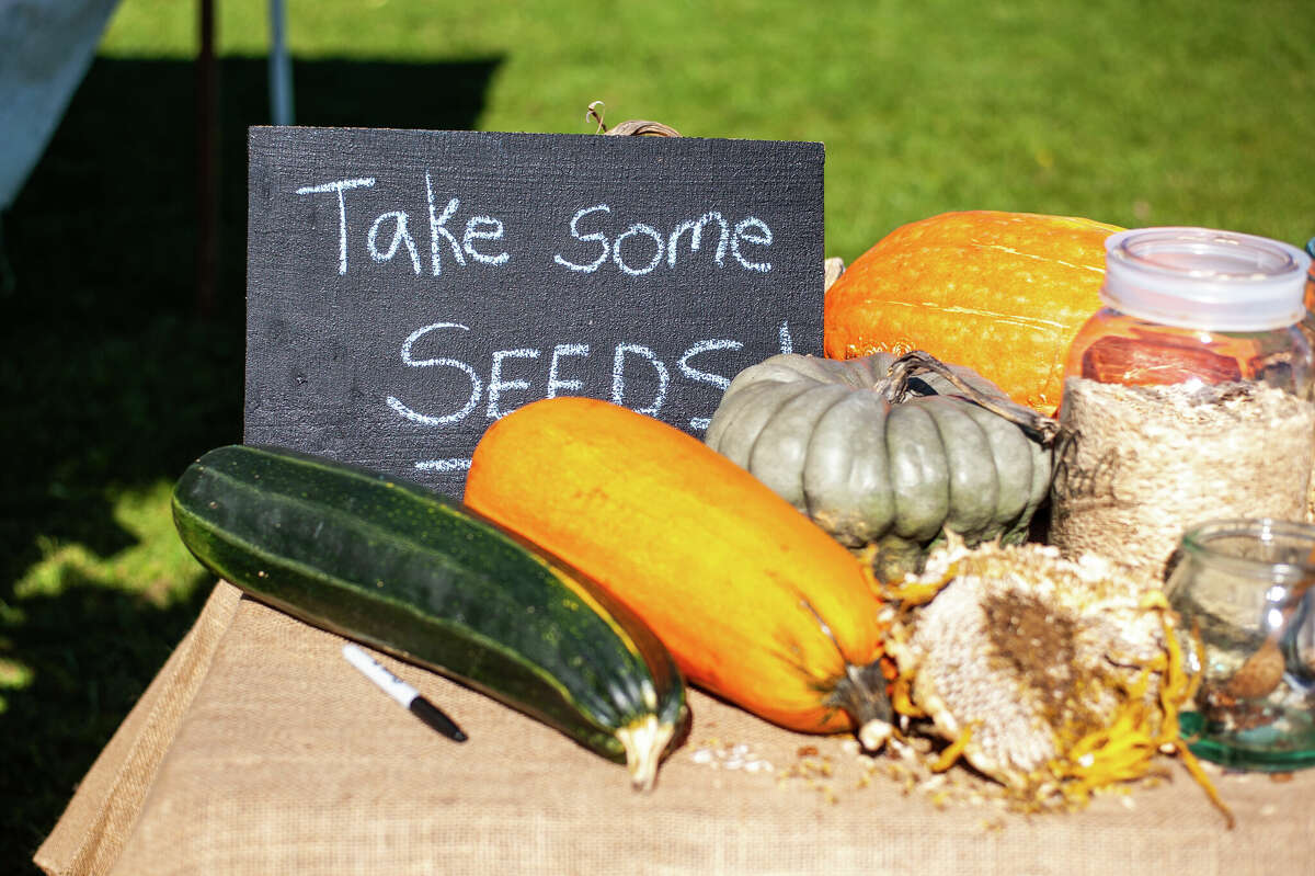 The 1800's return with the Midland Fall Harvest Festival