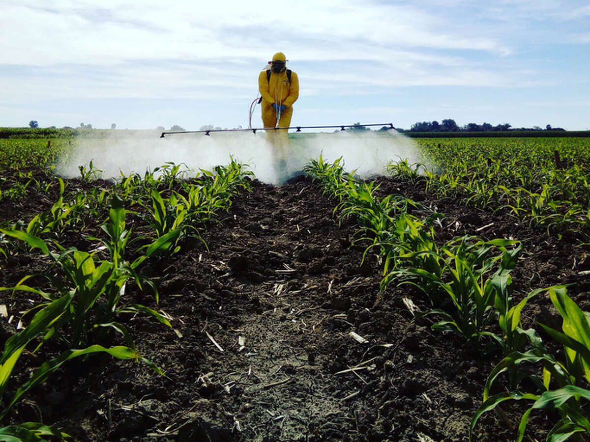 Illinois Attorney General Kwame Raoul is joining a lawsuit that accuses two pesticide makers of harming farmers by engaging in anti-competitive practices.