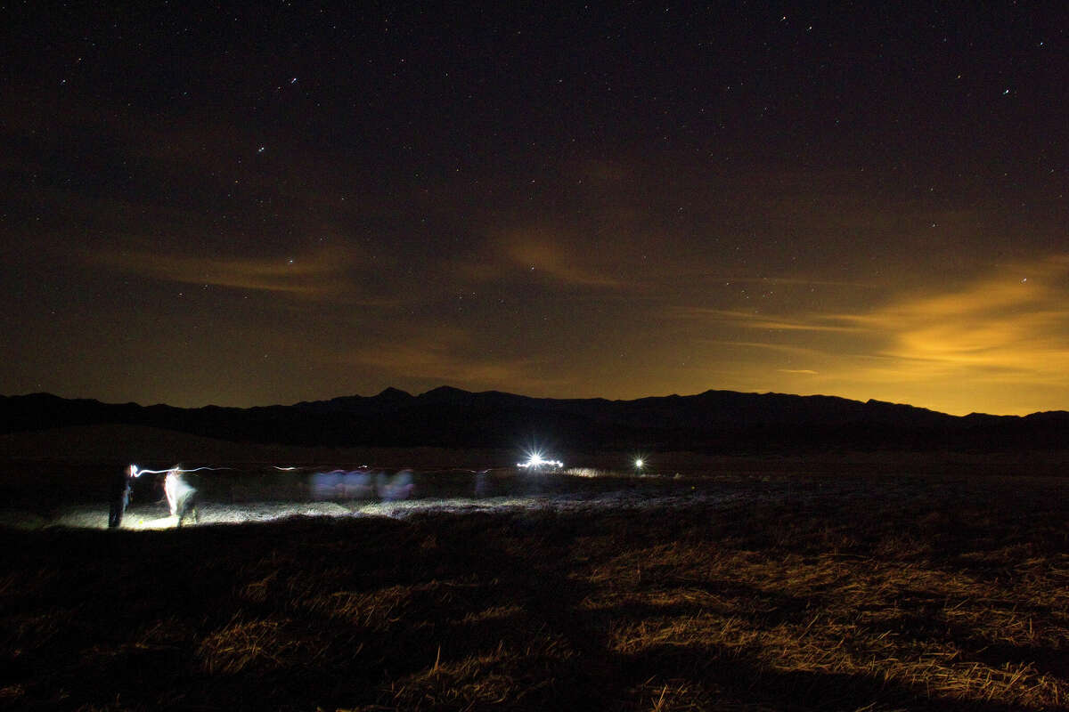DATEI: Janet Foley, Professorin an der Veterinärmedizinischen Fakultät der UC Davis, führt ein Team von Wissenschaftlern mit Stirnlampen durch die Sumpfgebiete, um Fallen zu überprüfen, die 2014 nachts in der Mojave-Wüste die Amargosa-Wühlmaus fangen sollten.