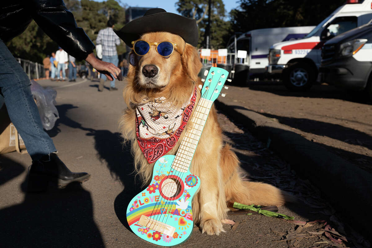 Brixton poses with his guitar on Sunday, Oct. 2, 2022, at the Hardly Strictly Bluegrass Festival.