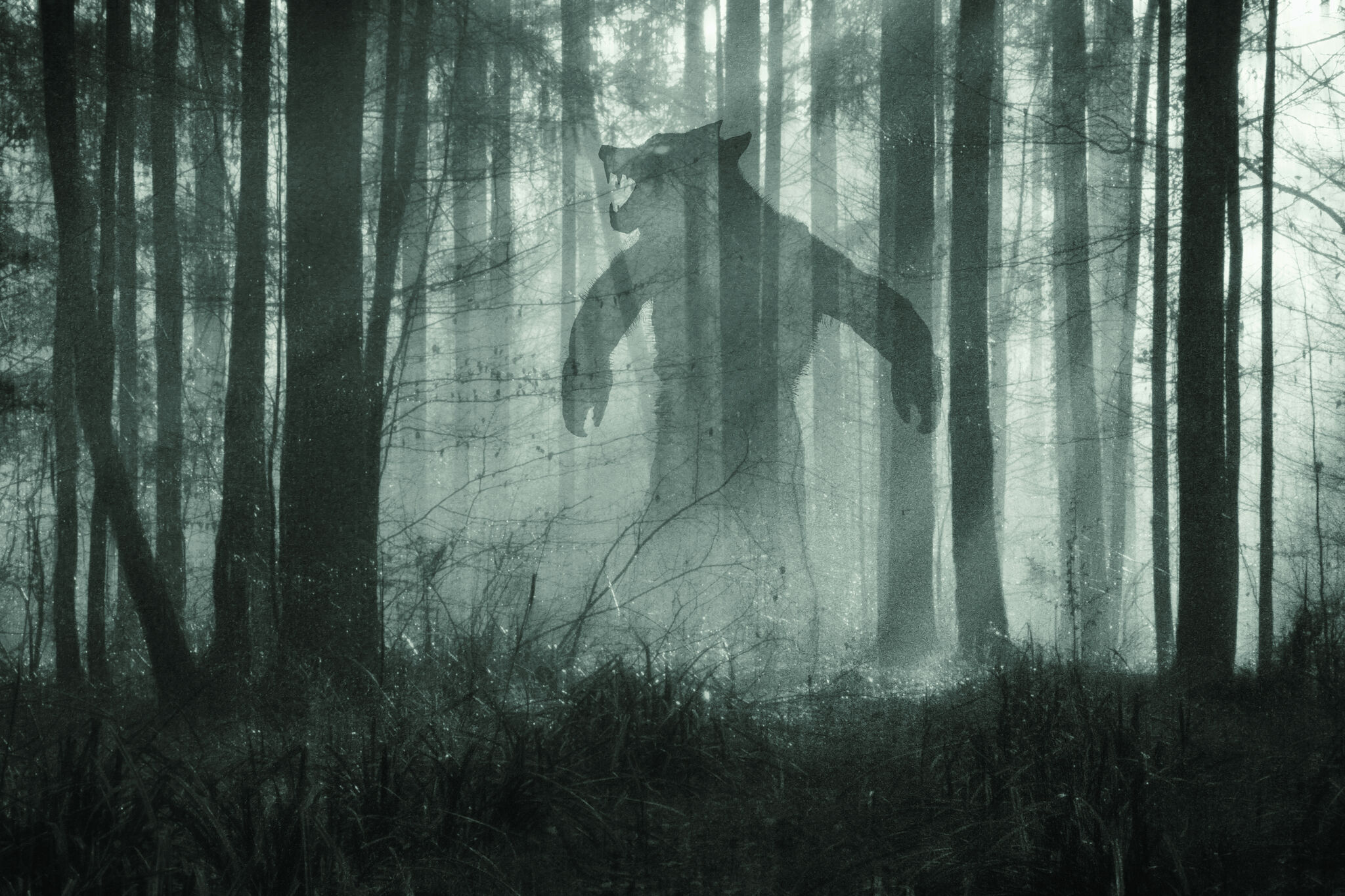 Bigfoot Encounter Leaves Man in Shock