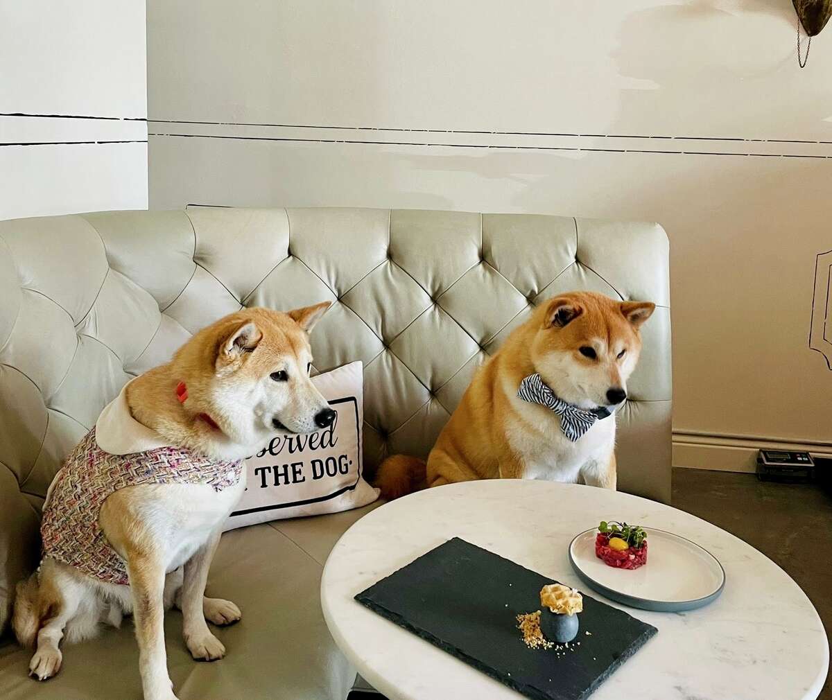 Peach (left) and Nikko, dine at Dogue in San Francisco.