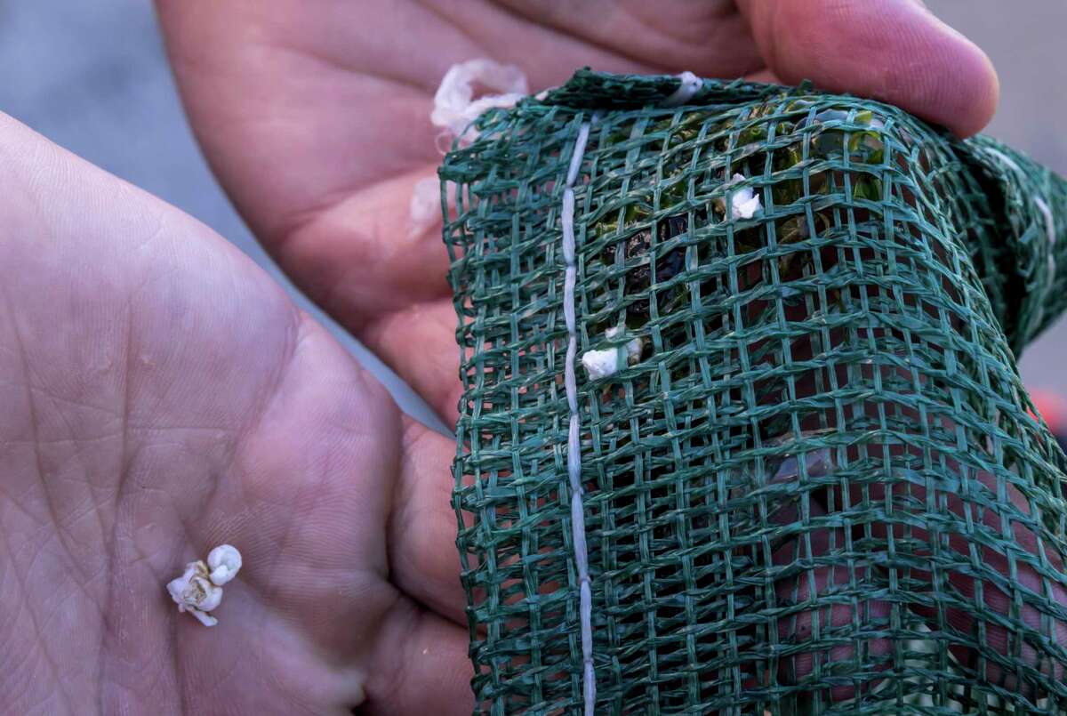 Several pieces of plastic were collected in the debris bag during a demonstration of the Plastics Piranha, an aquatic trash collecting rover, in the Port of Point San Pablo in Richmond.