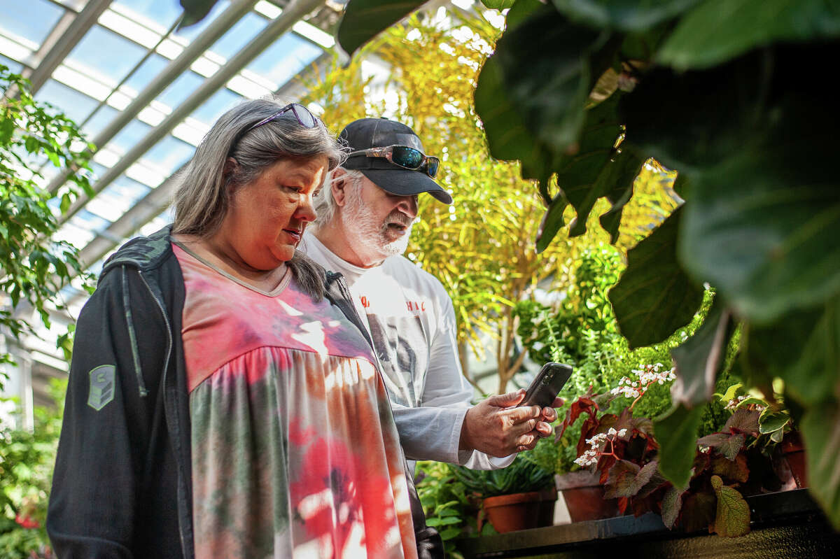 Julie (left) and Bill Weigle take photos at the Dow Gardens Conservatory.  