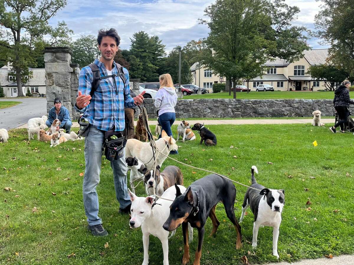 Tim Pink, creator of Saratoga Dog Walkers, leads pack walk on Tuesday, Oct. 4 on North Broadway Street in Saratoga Springs.