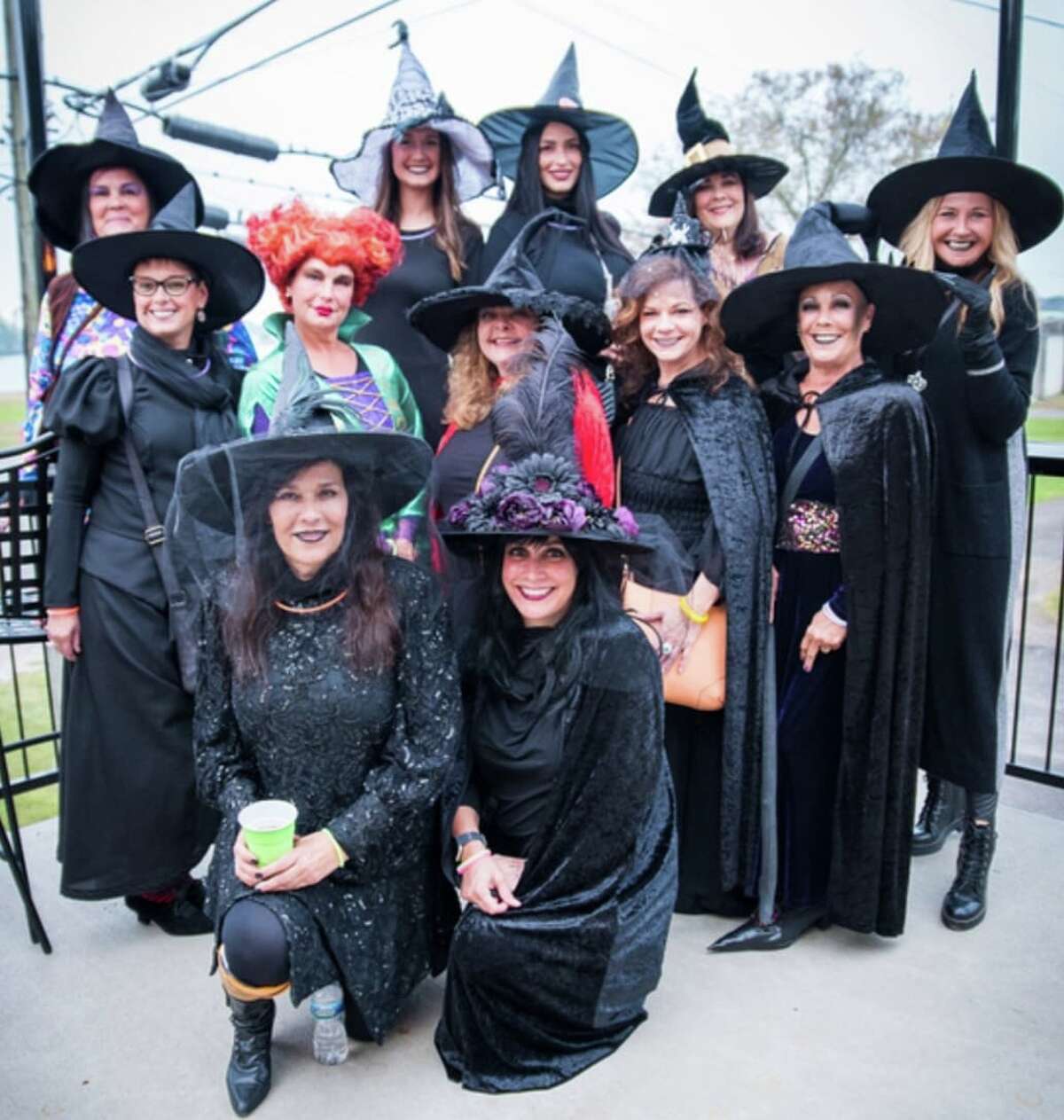 Witches on the Water growing in Grafton