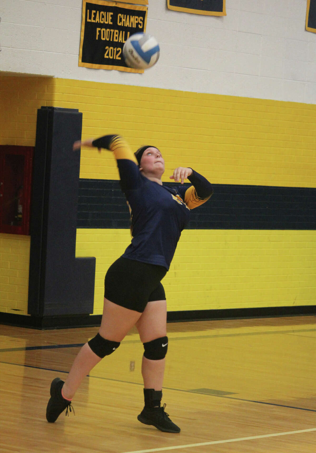 Abigail Oisten serves the ball for Baldwin in past action.