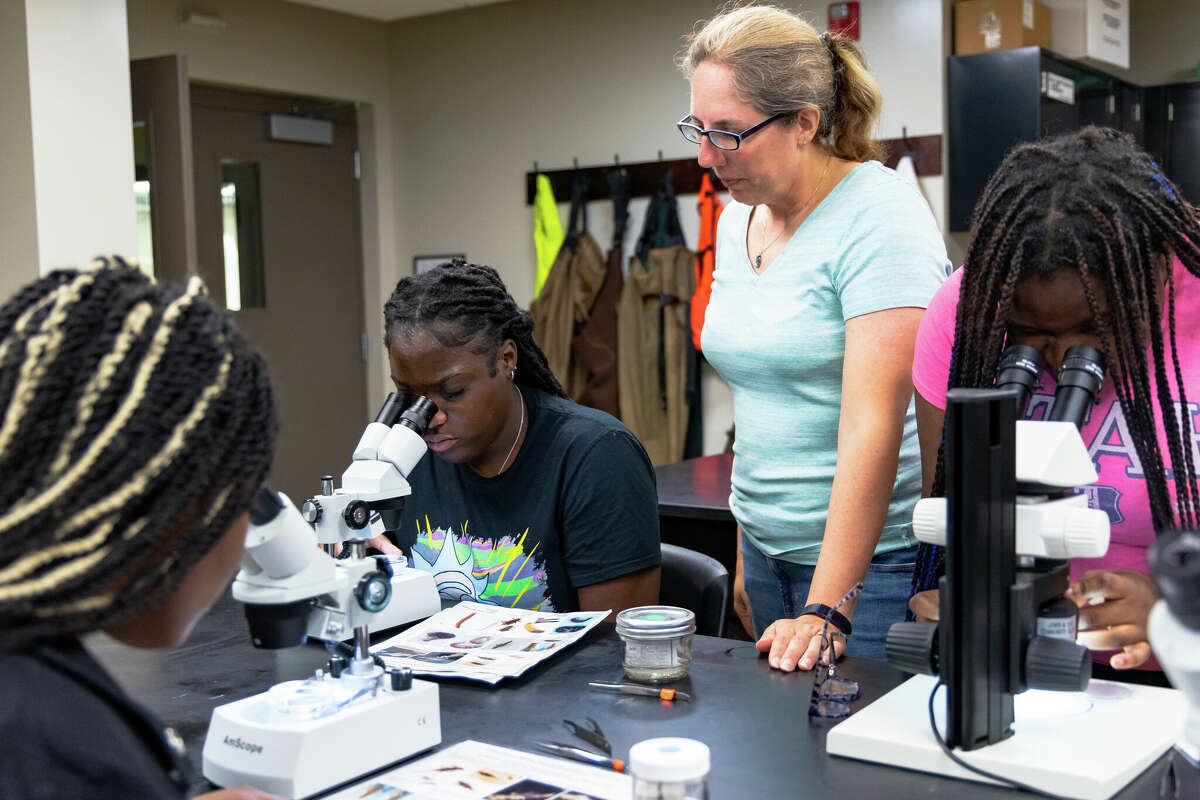 TRIO students use microscopes to identify macroinvertebrates with the help of RiverWatch Director Danelle Haake.