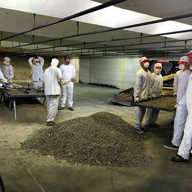 2017年，杰罗德·约翰逊(Jerod Johnson)的232童子军部队使用筛子分离嵌入沙子中的铅碎片。在草谷射程的目标后面放置的沙护堤可以吸收子弹。这张照片被发布在The Range的Facebook页面上，并在加州公共卫生部的一份报告中提供。