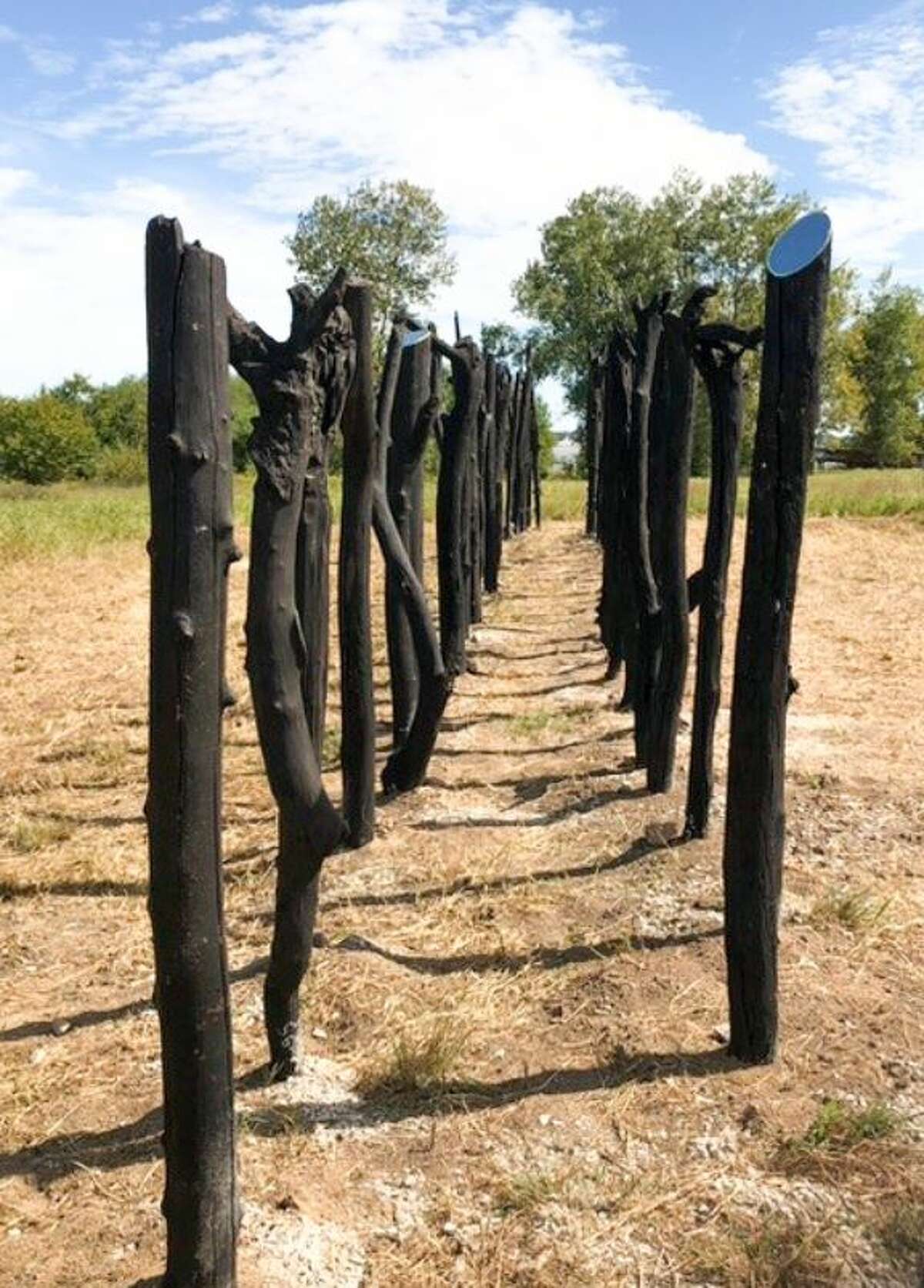 The Audubon Center at Riverlands will celebrate “River Ark,” a site specific installation created by artist Thomas Sleet, on Oct. 22.