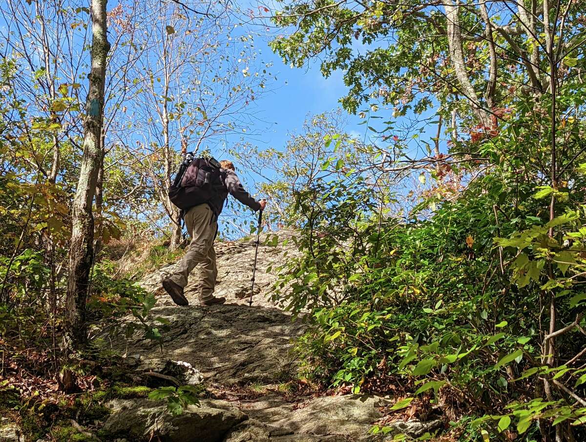 Mark Lotterhand is an experienced wildlife photographer who documents snakes, turtles and salamanders all over New England. He led CT Insider up a mountain to find the rarest and most elusive snake in Connecticut. 