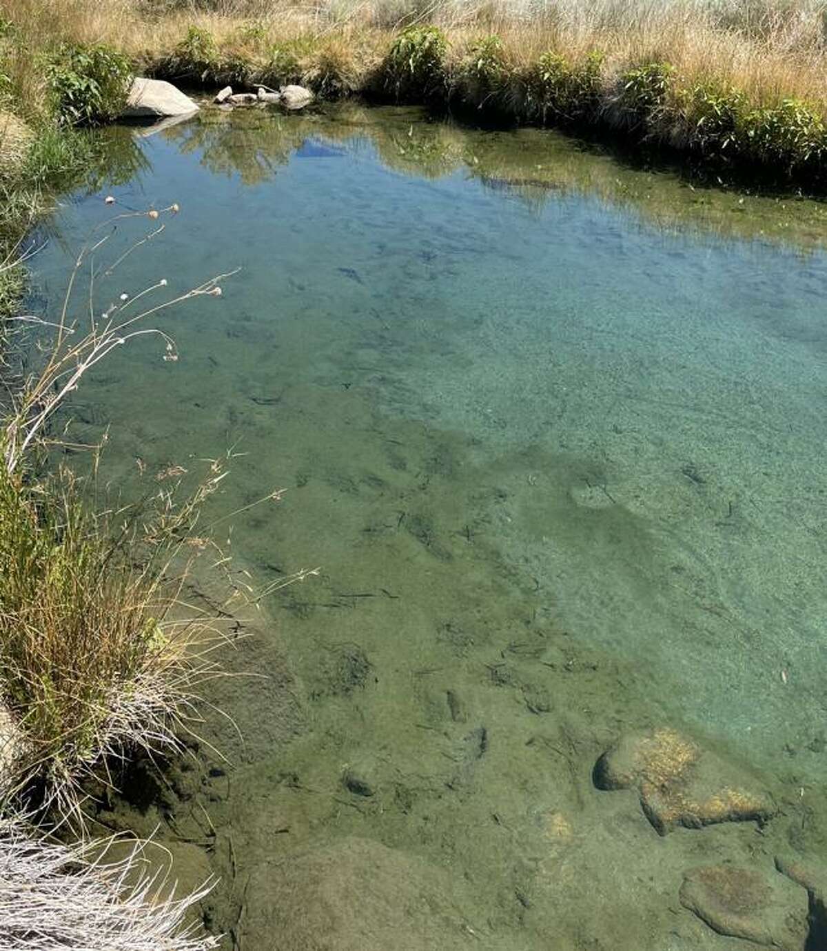 Hot Ditch, a natural hot springs destination in Bishop, Calif. Recent water testing at the popular California hot springs destination reportedly found that the same brain-eating amoeba that killed an 8-year-old boy remained present in the water.