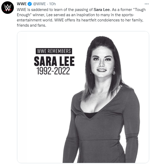 WWE, pro wrestling world mourn death of Michigan's Sara Lee at 30